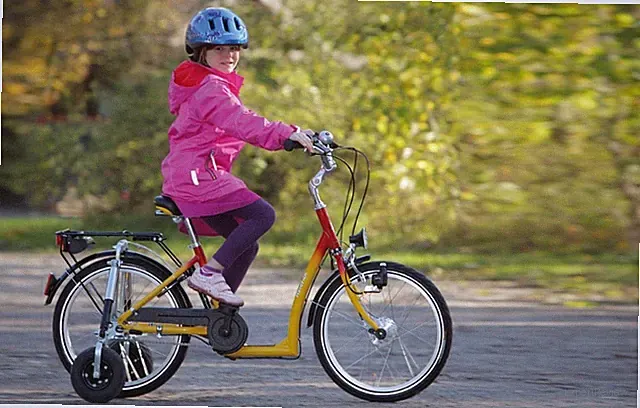 Adaptive Haverich 20" bicycle child Ages 5-12, Training wheels, back support