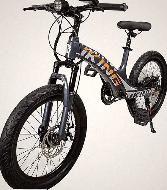 JKING 250w Motor Electric Bike 25km/h For Adults Teens 40 To 65km Endurance