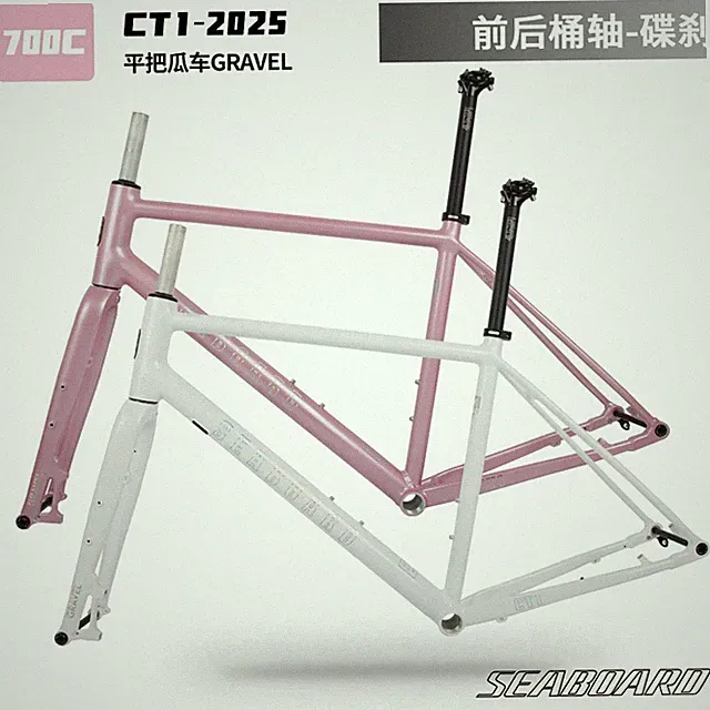 Road bicycle Frameset Internal Wiring Frame 700C Disc Brake Barrel Shaft Fork