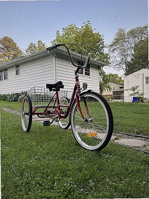 TRISTAR Raleigh Torker Adult Tricycle Rear Steel HD Basket