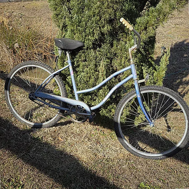 vintage Ross Beach Commander cruser bike